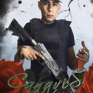 Chito Canavis