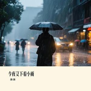 今夜又下着小雨 (Cover 苏星婕)