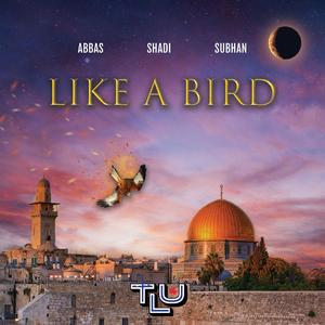 Like A Bird (feat. Shadi, Abbas & Subhan)