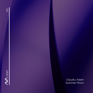 Summer Moon (Extended Mix)