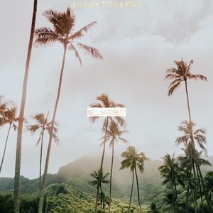 适合读优秀的音乐