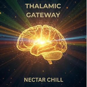 Thalamic Gateway
