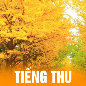 Tương tư chiều