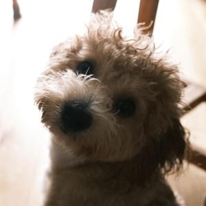 夏天到了，春天还没来