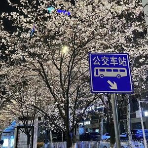 。。