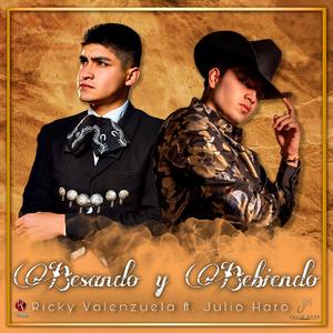 Besando y Bebiendo (feat. Julio Haro)