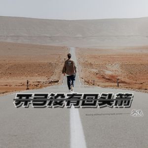 开弓没有回头箭