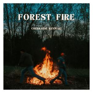 Forest Fire