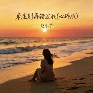 来生别再错过我