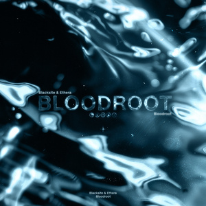 Bloodroot