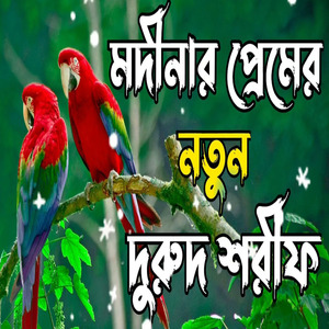 মদীনার প্রেমর নতুন দুরুদ শরীফ। ভাইরাল দুরুদ শরীফ