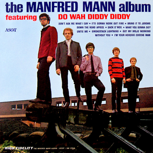 I'm Your Hoochie Cooche Man