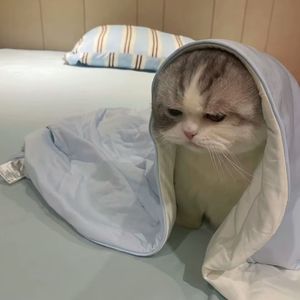 老男孩_吴憨憨_20240525_161801