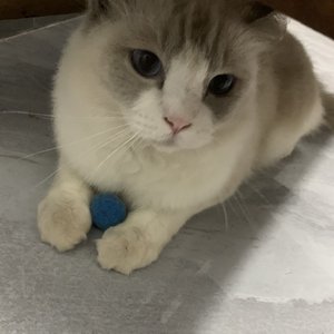 总是错付