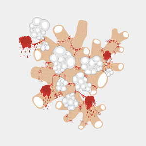 How We Conquered the Western World on Horseback