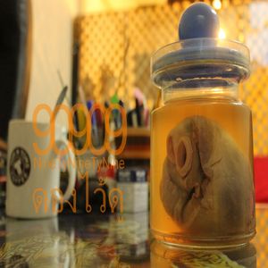 ดองไว้ดู