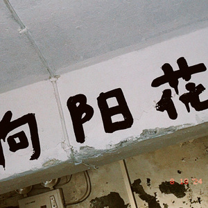推倒这座山（妇）