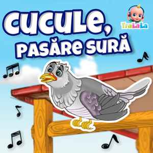 Cucule, pasăre sură