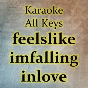 feelslikeimfallinginlove (Karaoke Version)