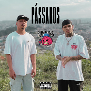 Pássaros