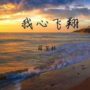 我心飞翔