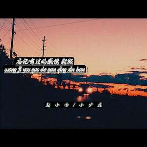 忘记有过的感情 (新版)