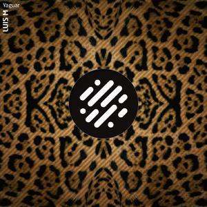 In the Vortex (Luis M Remix)