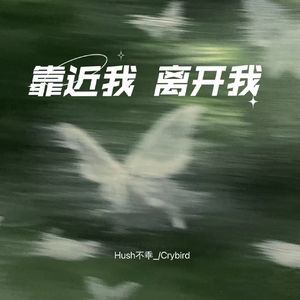 靠近我 离开我（心碎版）