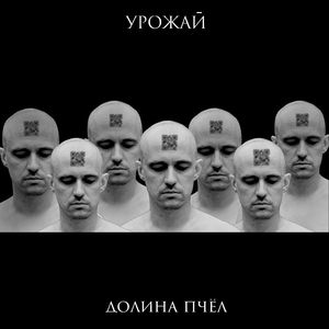 Урожай