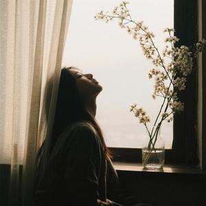 春风春风不懂我