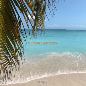 适合办公室工作愉悦的音乐