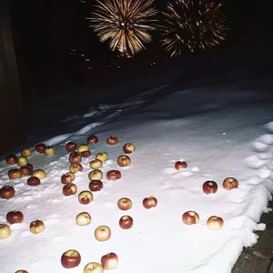 Người(双向奔赴的人)