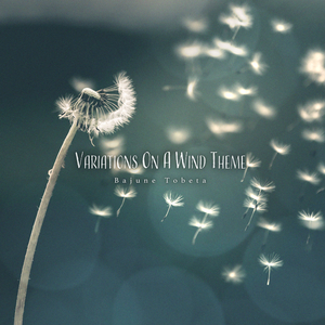 Variations on a Wind Theme