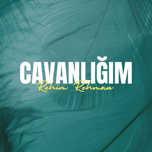 Cavanlığım