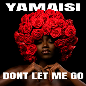Dont Let Me Go