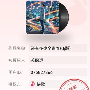 还有多少个青春 (dj版).wav