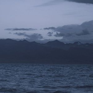 需要人陪