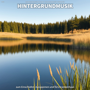 Ein Lied gegen Lärmbelästigung