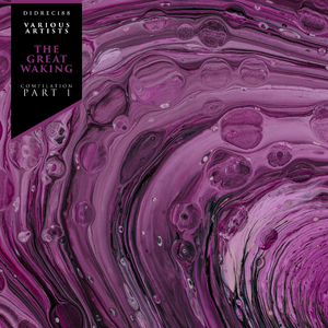 Dark Roast (Dantiez Saunderson And Deep Slice Remix)