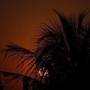 就这样，算了吧