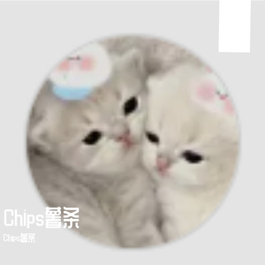 Chips薯条