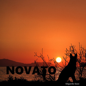 Novato