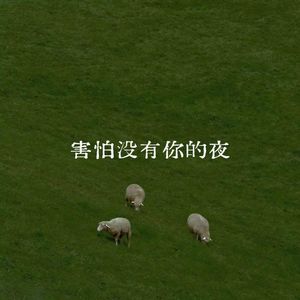 害怕没有你的夜