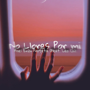 No Llores por Mi