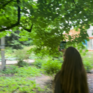 四季「Кристина」