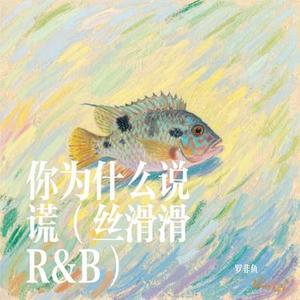 你为什么说谎 (丝滑滑R&B) (Cover 丁当)