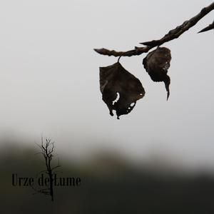 Geada Negra (Remix) (Remix)