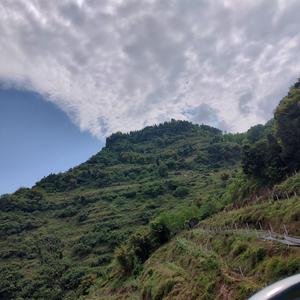 你的过去我不介意