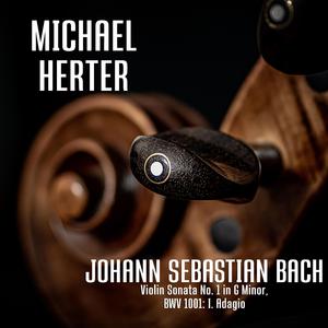 Violin Sonata No. 1 in G Minor, BWV 1001: I. Adagio (Live from Mannheim)