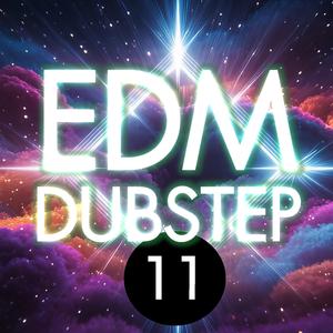 EDM DUBSTEP 11